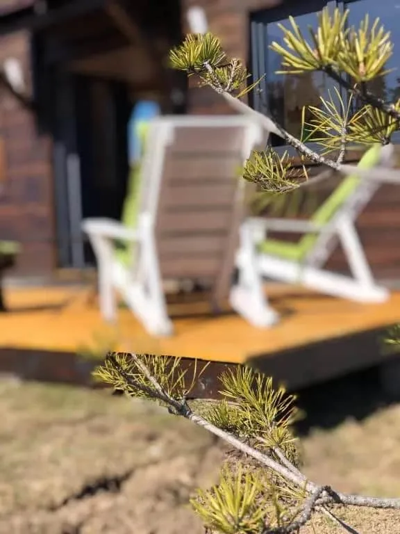 Cabana A Toplița