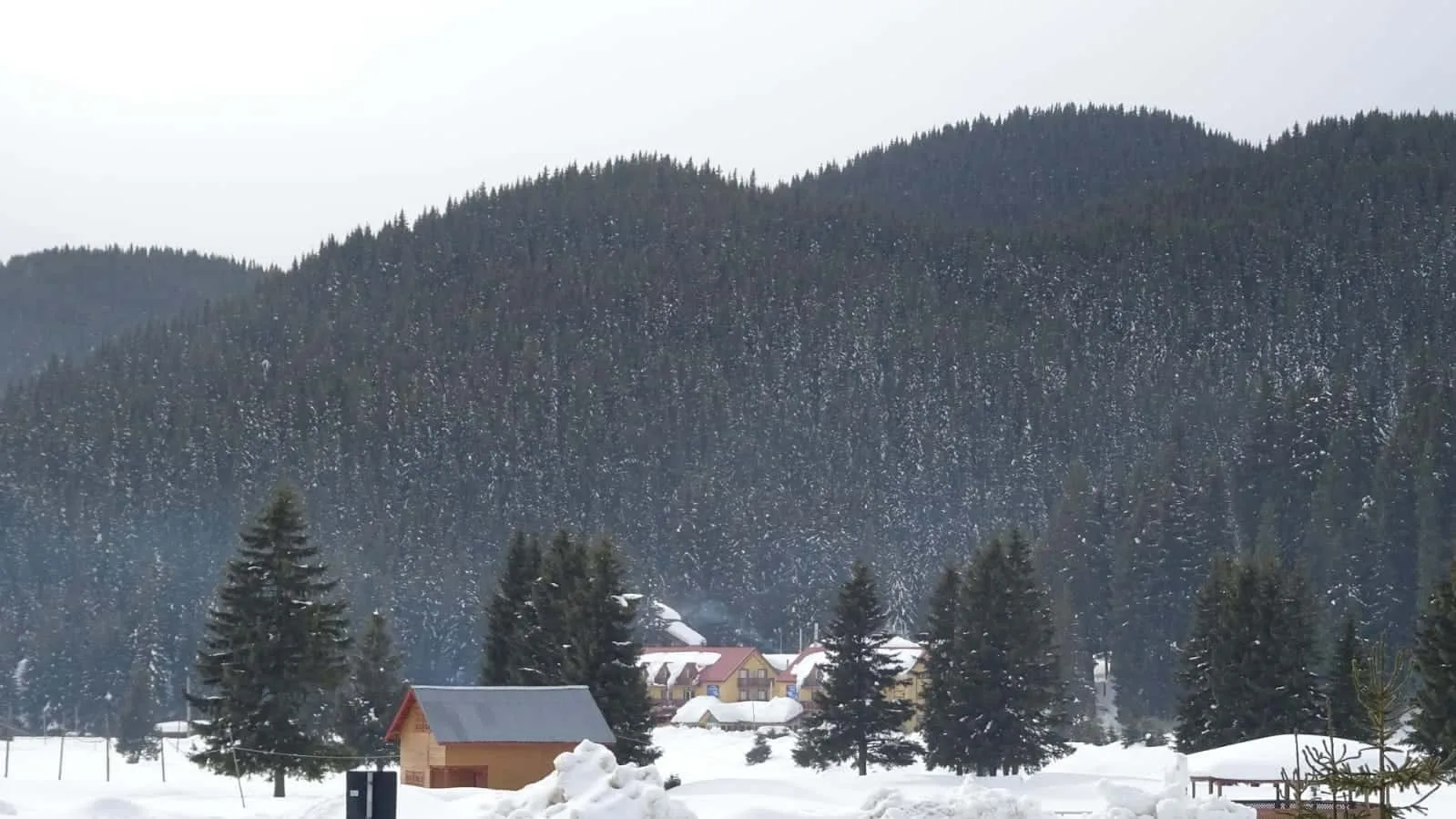 Cabana Belvedere din Padina Pestera
