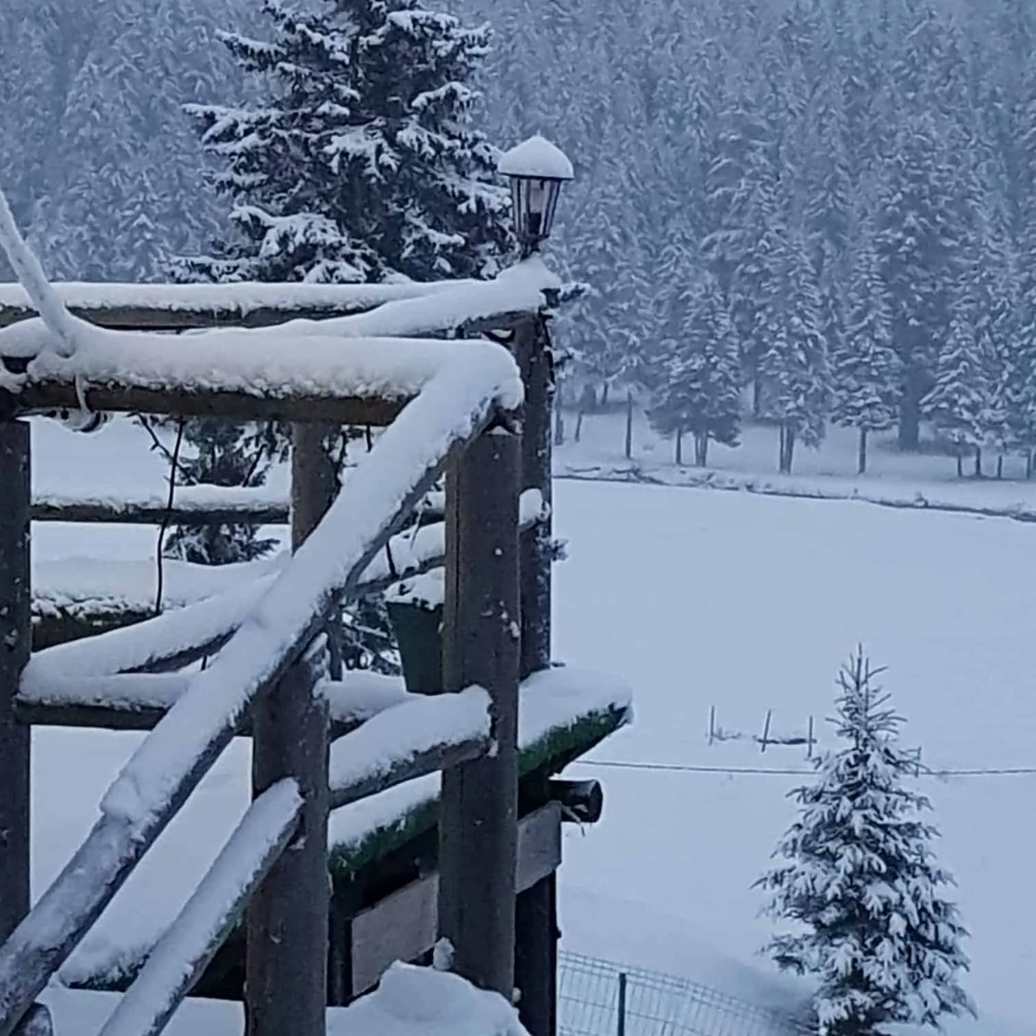 Cabana Belvedere din Padina Pestera