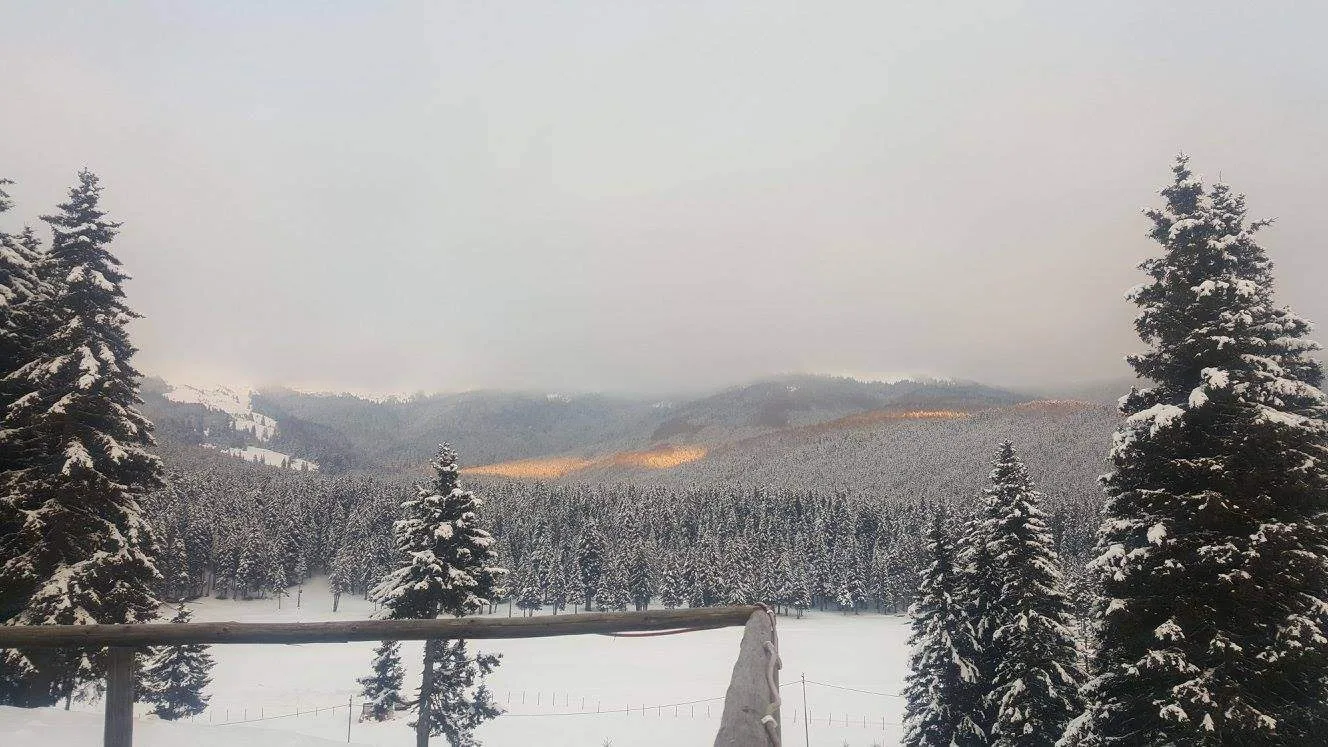 Cabana Belvedere din Padina Pestera