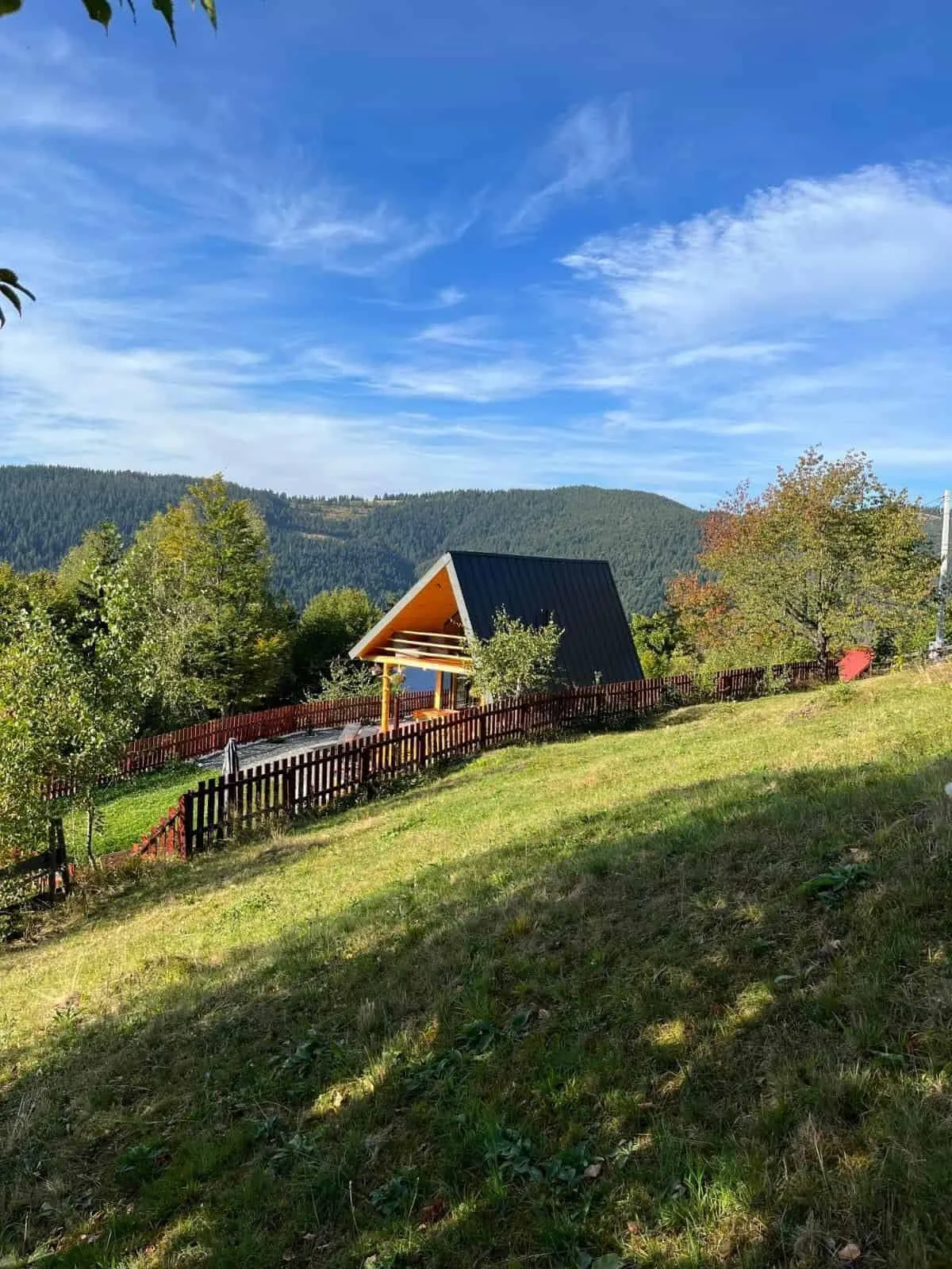 Cabana dintre Mesteceni