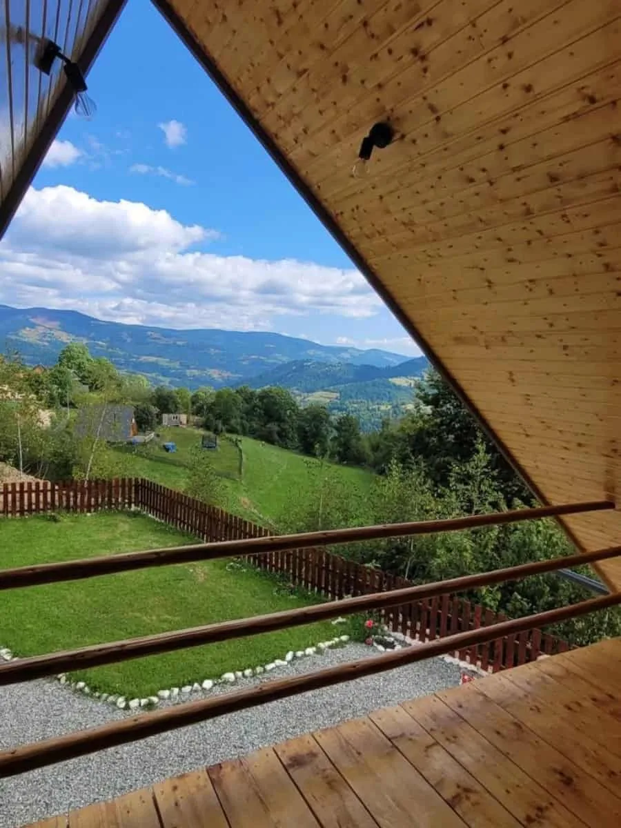 Cabana dintre Mesteceni