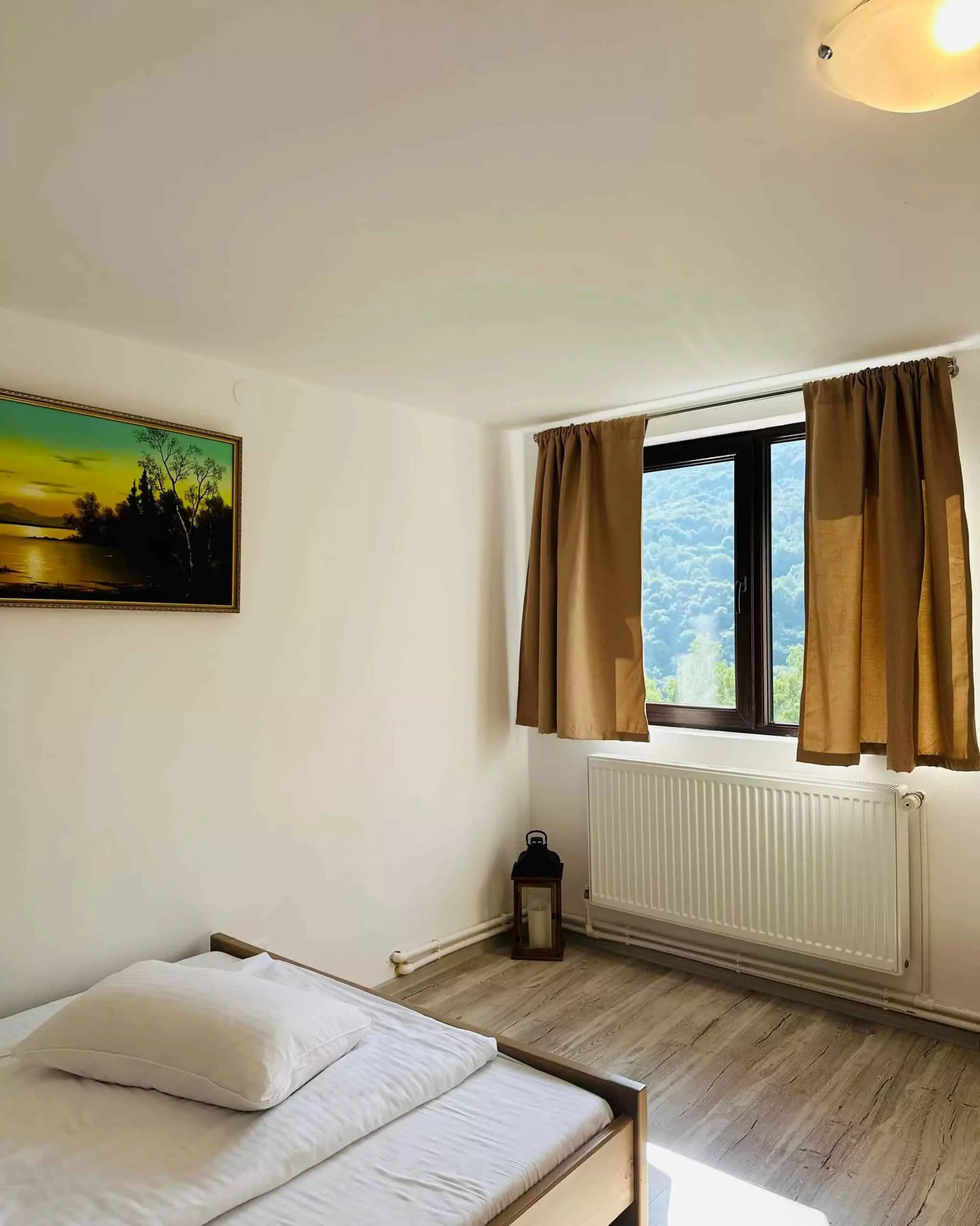 Cabana Nicorici