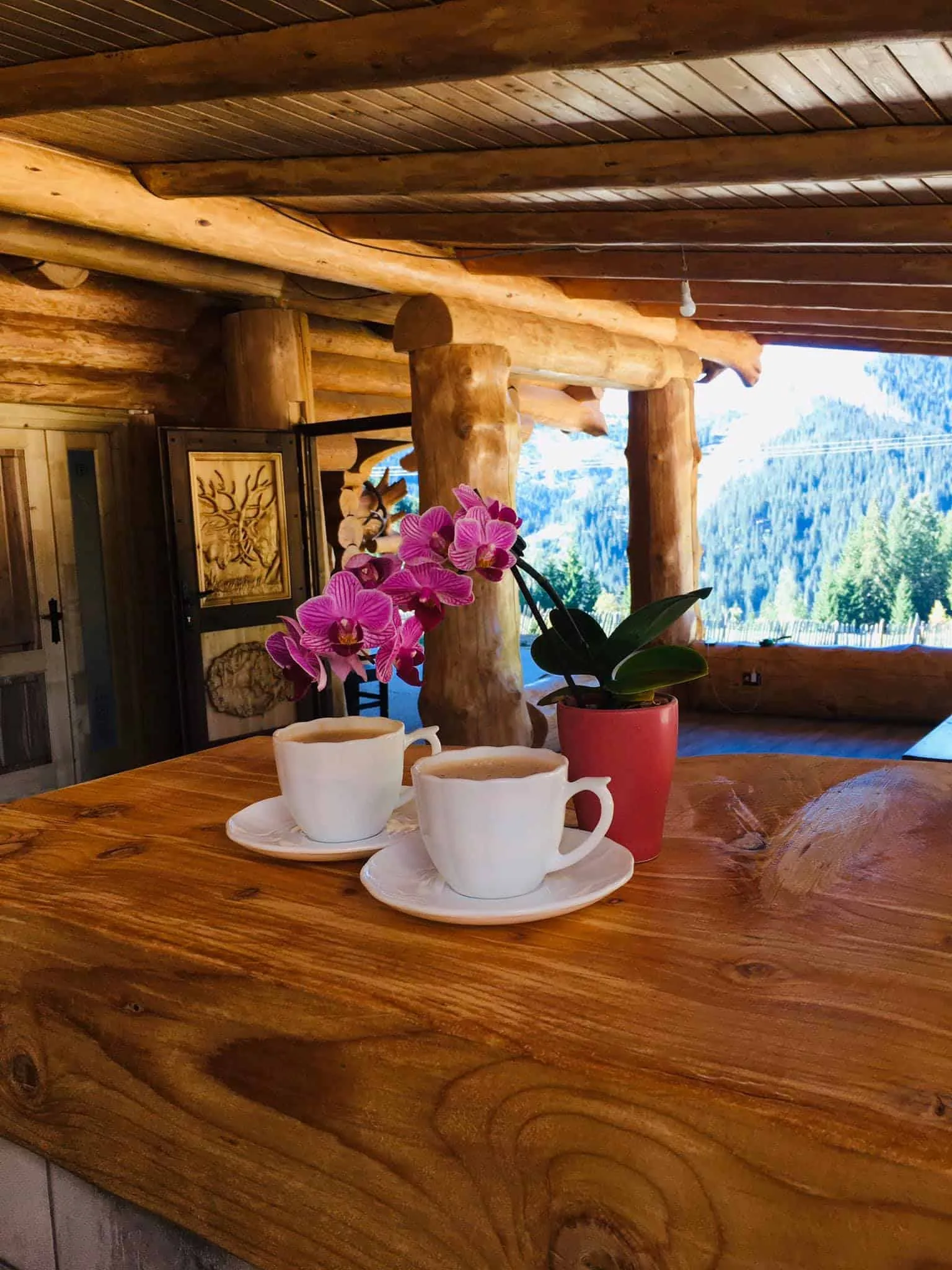 Cabana Poiana Cerbilor