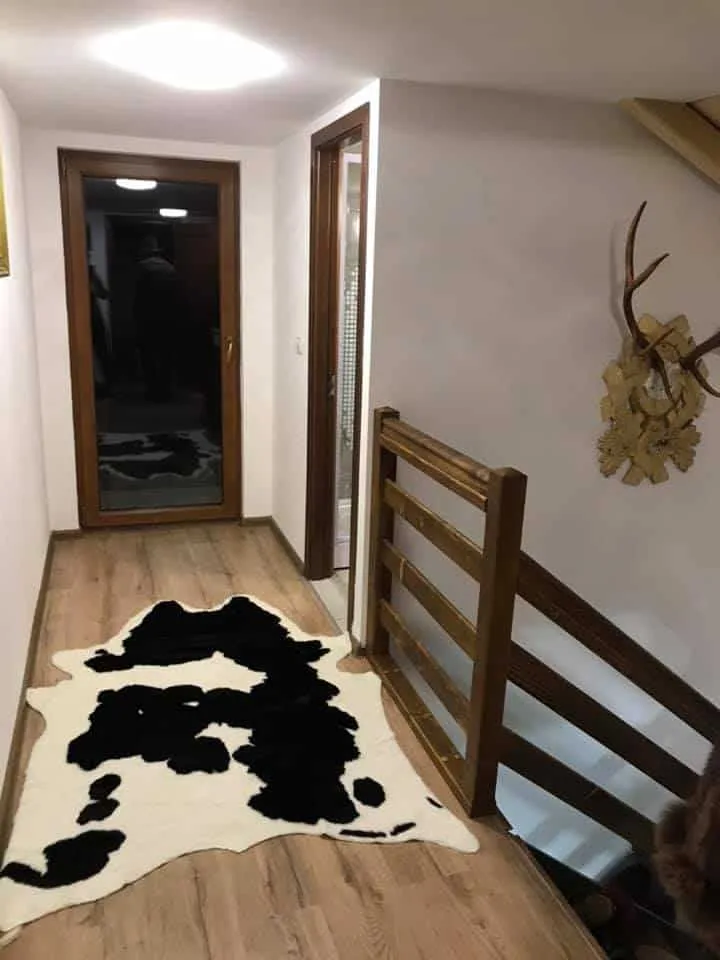Cabana Stângău
