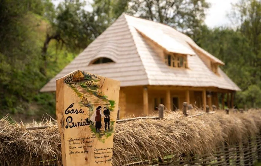 Casa Bunicilor din Apuseni