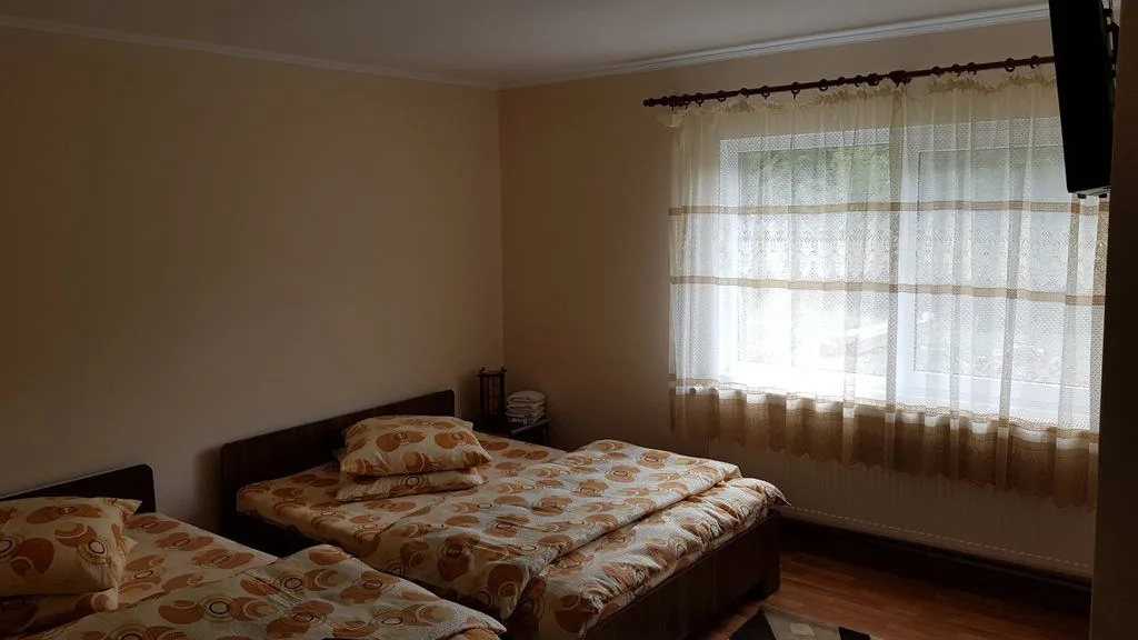 Casa Criss din Cavnic