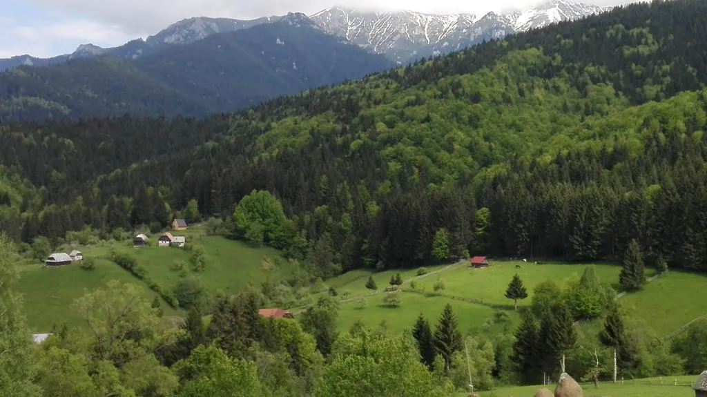 Căsuța Bunicii