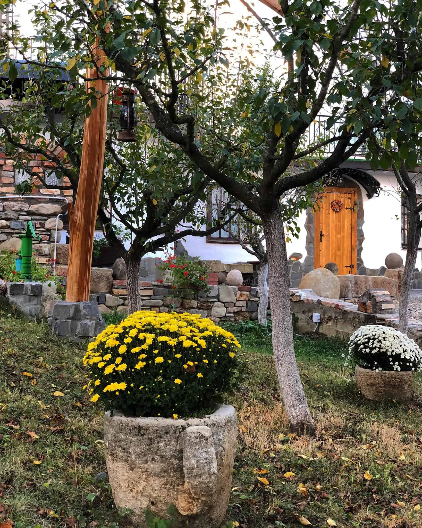Căsuța cu Mesteceni