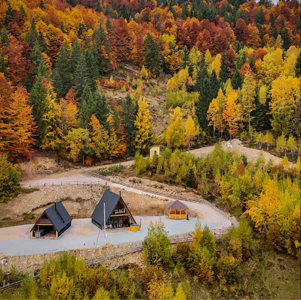 Chalets Thea