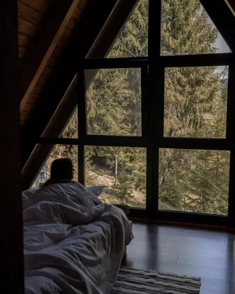 FOREST TALE CABIN