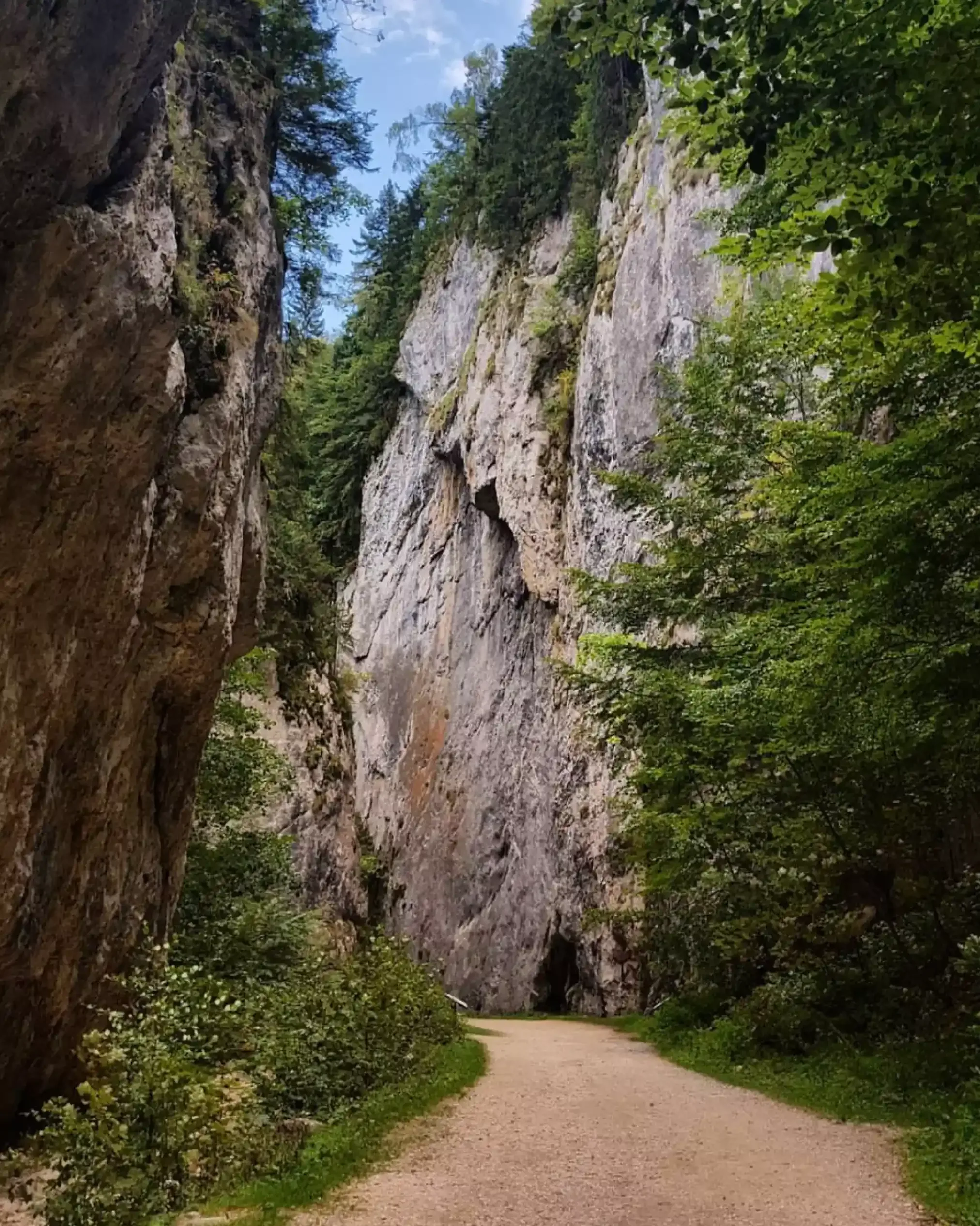Panoramic View Bran
